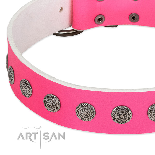 Trendy full grain natural leather collar with studs for your four-legged friend
