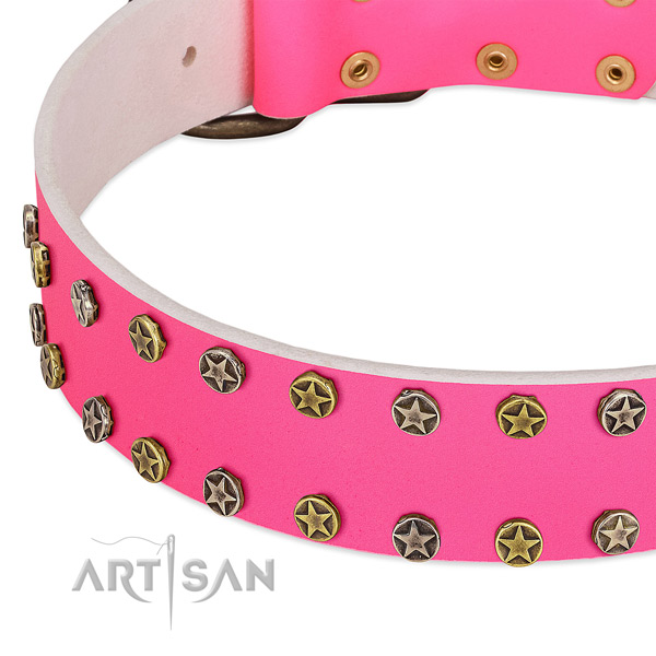 Quality genuine leather collar with studs for your pet