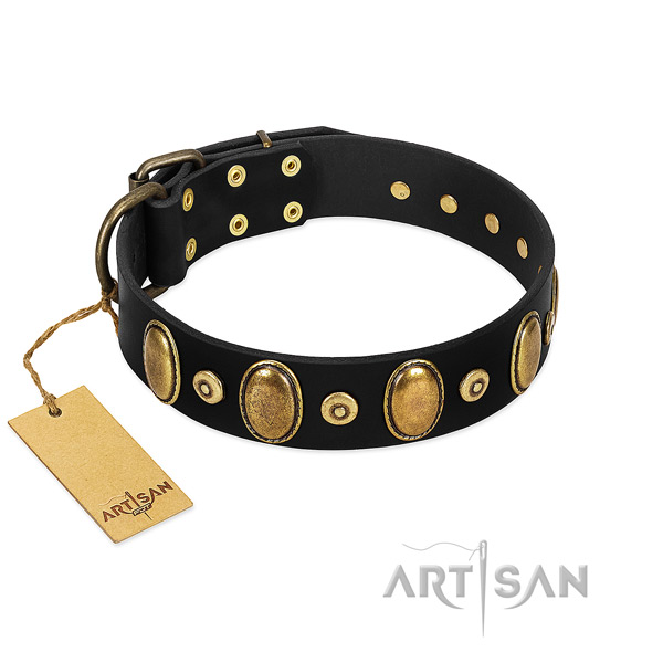 Strong decorations on dog collar for basic training