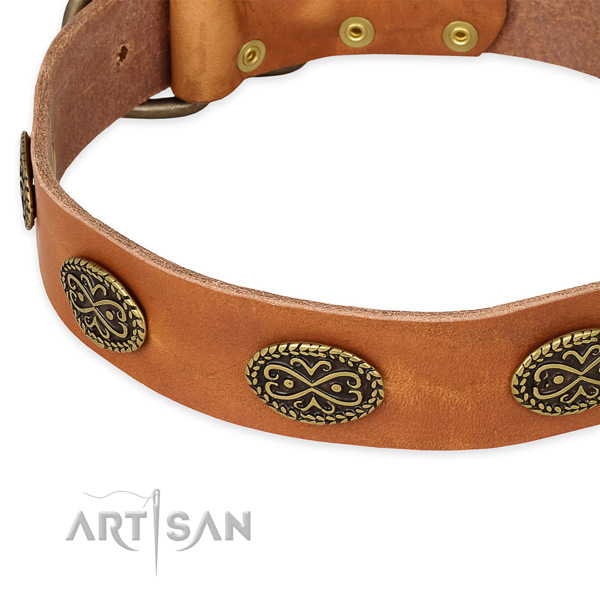 Unique full grain genuine leather collar for your beautiful four-legged friend