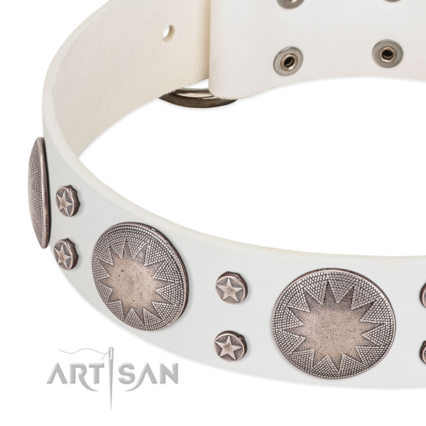 Quality full grain natural leather dog collar for your handsome four-legged friend