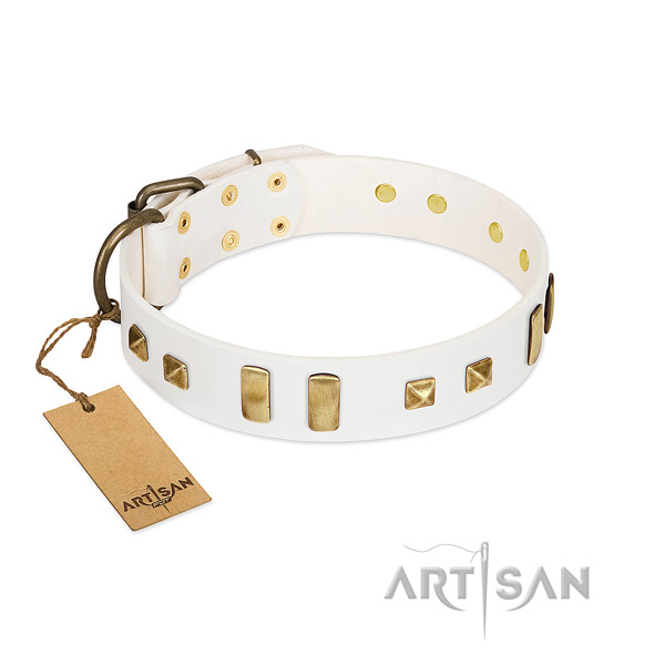 Everyday use dog collar of genuine leather