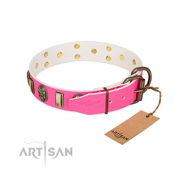 Reliable studs on natural genuine leather dog collar for your doggie
