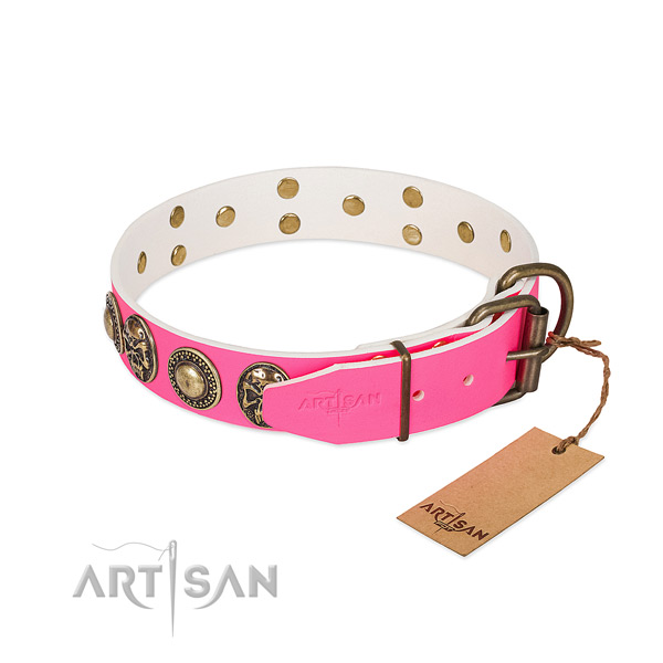 Strong traditional buckle on comfy wearing dog collar