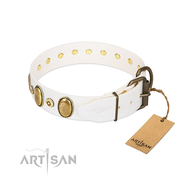 Corrosion resistant adornments on high quality full grain natural leather dog collar