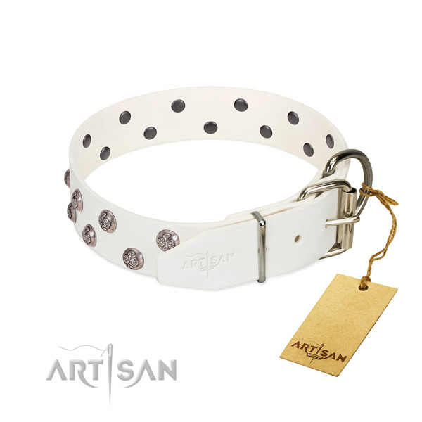 Reliable buckle on decorated genuine leather dog collar