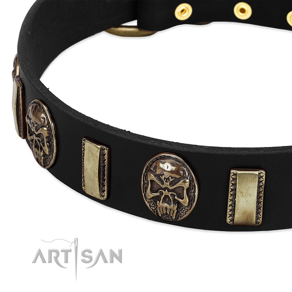 Rust-proof traditional buckle on genuine leather dog collar for your doggie