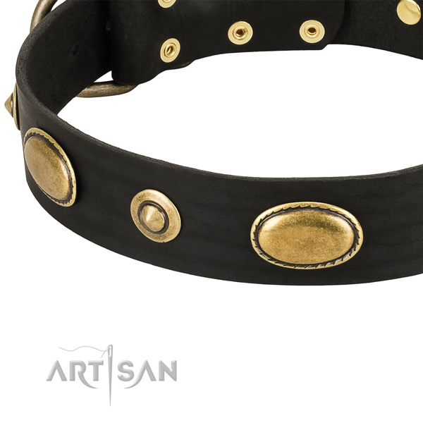 Corrosion proof embellishments on full grain natural leather dog collar for your doggie