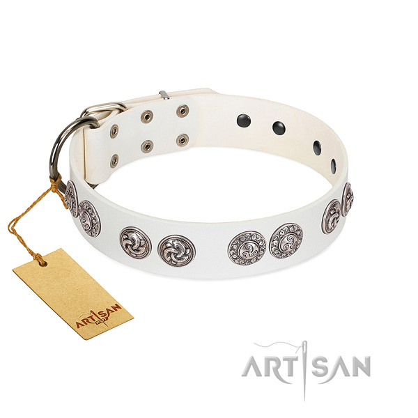 Stunning full grain leather collar for your canine daily walking