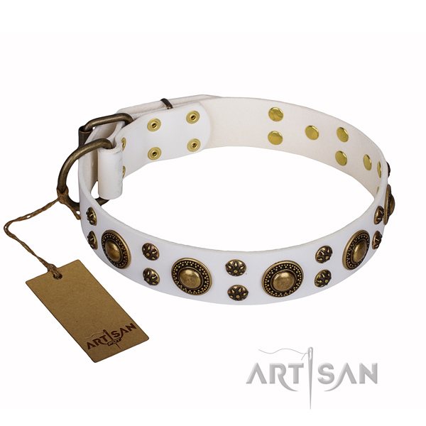 Comfortable wearing dog collar of top quality genuine leather with adornments