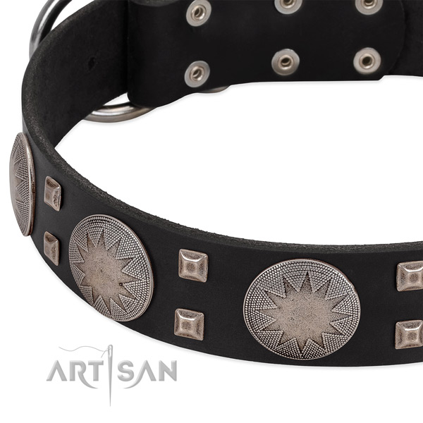 Easy wearing full grain leather dog collar