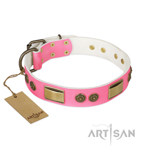 Unusual natural genuine leather dog collar for everyday use