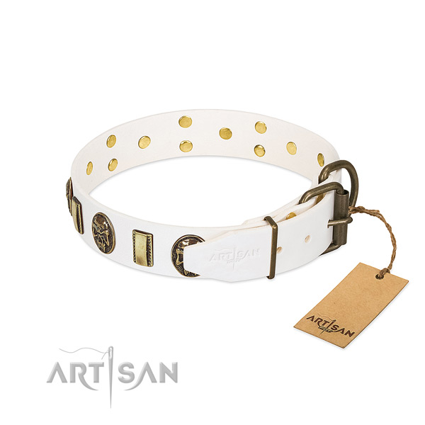 Corrosion proof traditional buckle on full grain genuine leather collar for basic training your canine