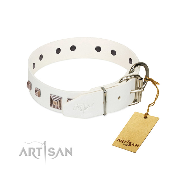 Exquisite collar of full grain leather for your beautiful dog