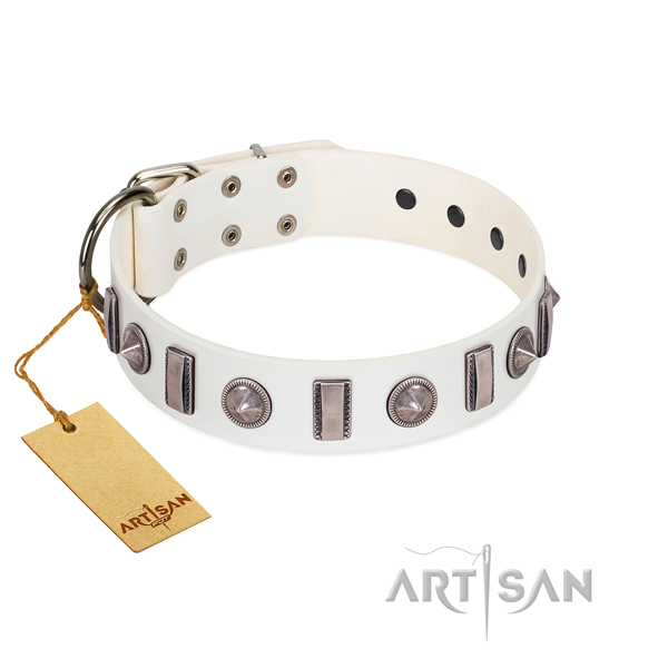 Soft genuine leather dog collar with embellishments for your canine