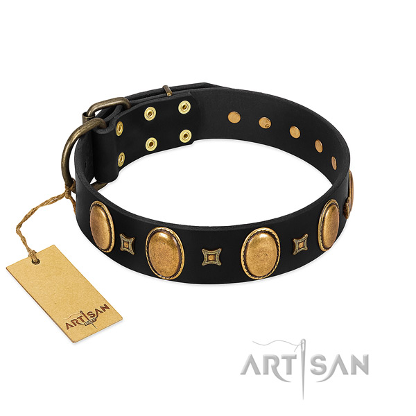 Leather dog collar with designer embellishments for everyday walking