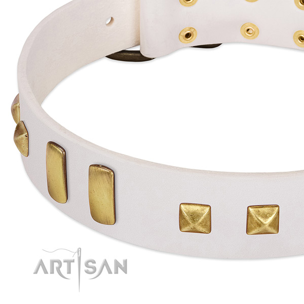 Reliable full grain genuine leather dog collar with embellishments for everyday use