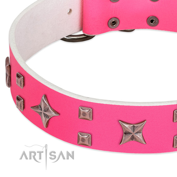 Rust resistant buckle on full grain leather collar for basic training your doggie