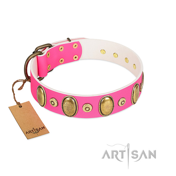 Reliable genuine leather collar with corrosion resistant adornments for your canine