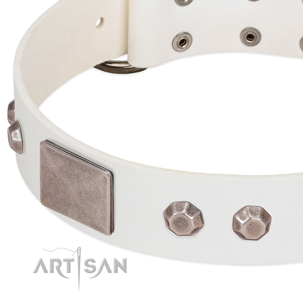Durable leather dog collar with decorations