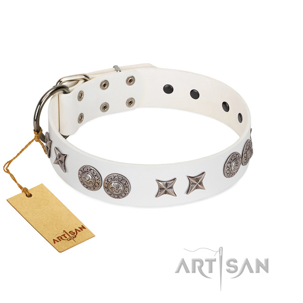 Full grain natural leather collar with designer embellishments for your canine