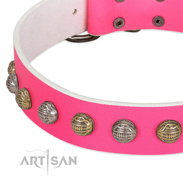 Rust-proof traditional buckle on full grain genuine leather collar for daily walking your dog