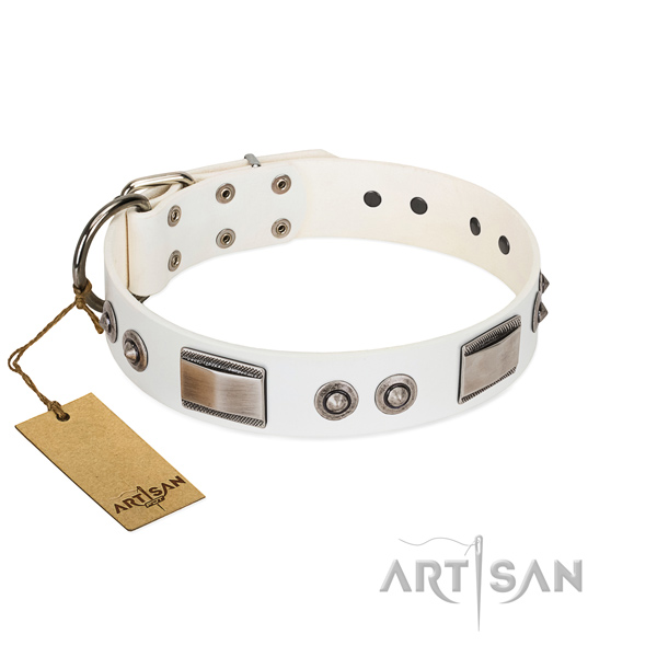 Gentle to touch natural leather collar with decorations for your dog