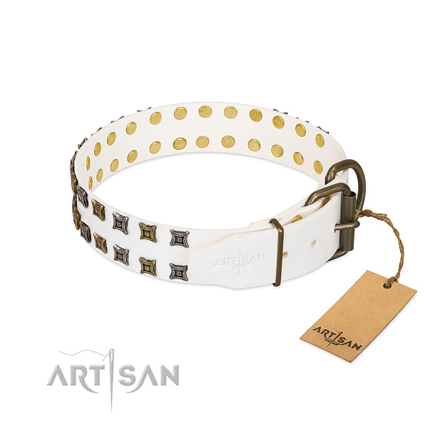 Natural leather collar with inimitable studs for your doggie
