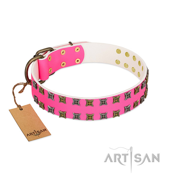Full grain leather collar with significant adornments for your dog