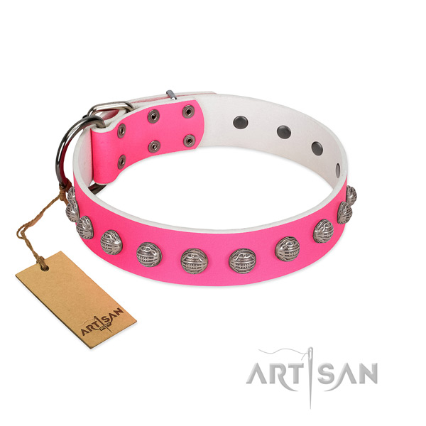 Full grain leather dog collar with top notch embellishments crafted doggie