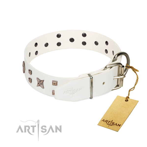 Leather dog collar with stunning decorations