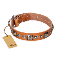 "Era of Future" FDT Artisan Handcrafted Tan Leather English Pointer Collar with Decorations
