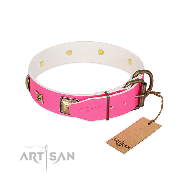 Corrosion proof fittings on full grain natural leather collar for stylish walking your dog