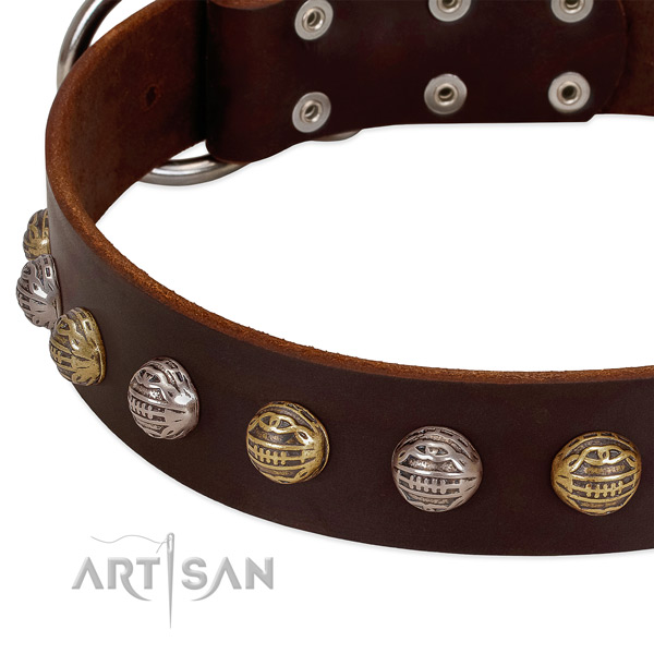 Corrosion proof traditional buckle on genuine leather collar for basic training your dog