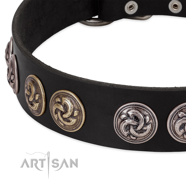 Amazing full grain natural leather collar for your doggie walking in style