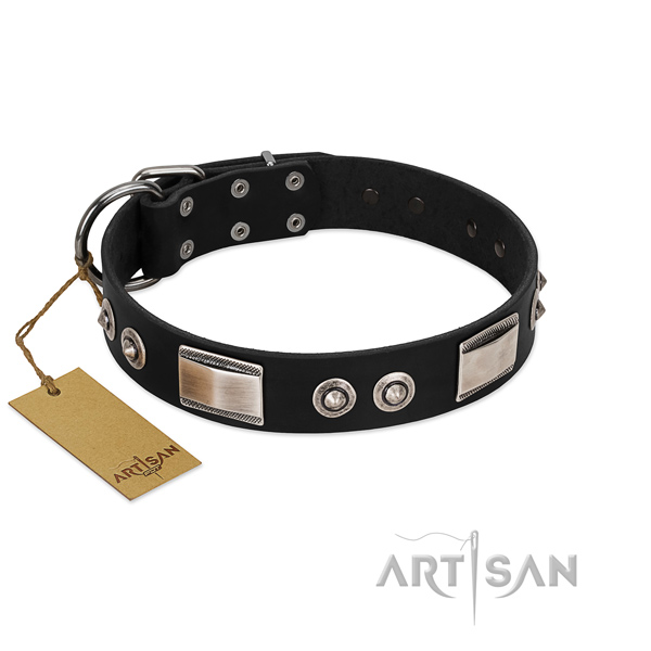 Unique collar of leather for your canine