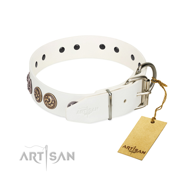 Durable hardware on stylish design full grain natural leather dog collar