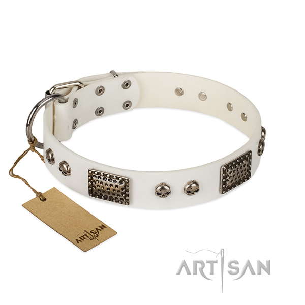 Easy wearing full grain leather dog collar for basic training your four-legged friend
