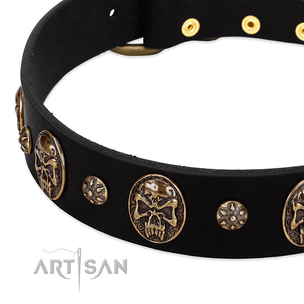 Corrosion resistant hardware on leather dog collar for your pet