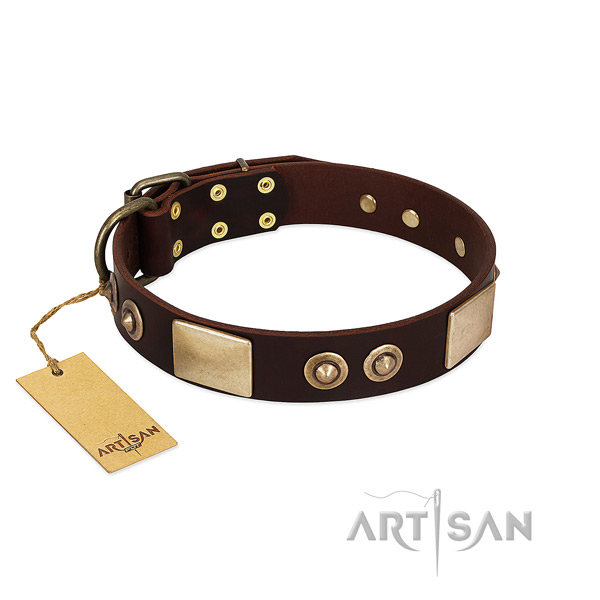 Adjustable genuine leather dog collar for stylish walking your canine