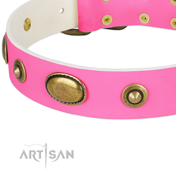 Strong D-ring on genuine leather dog collar for your dog