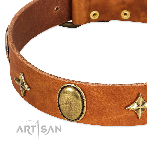 Top notch leather dog collar with rust-proof fittings