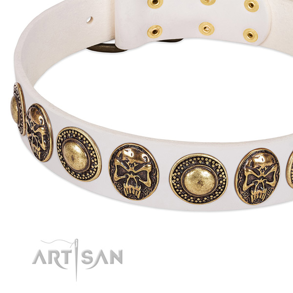 Rust resistant D-ring on genuine leather dog collar for your dog