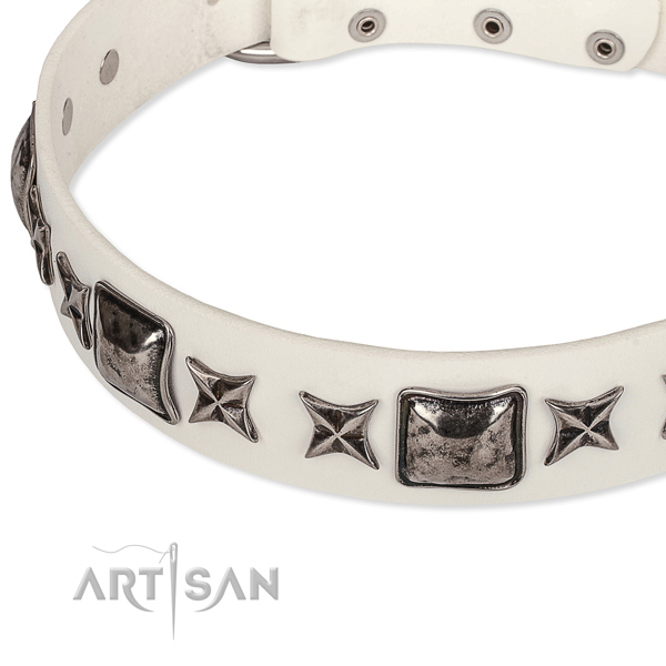 Daily use studded dog collar of strong full grain leather