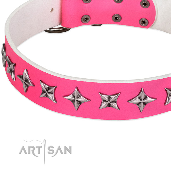 Everyday walking adorned dog collar of top notch full grain natural leather
