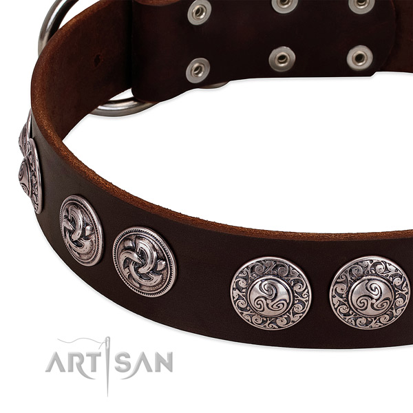 Fashionable genuine leather collar for your dog walking