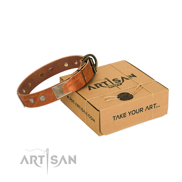 Corrosion proof decorations on dog collar for comfortable wearing