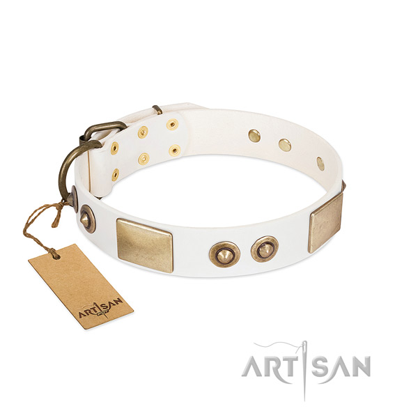 Durable fittings on natural genuine leather dog collar for your four-legged friend