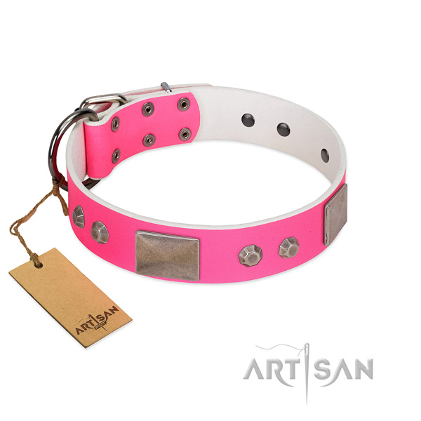 Corrosion resistant fittings on full grain leather dog collar for comfy wearing