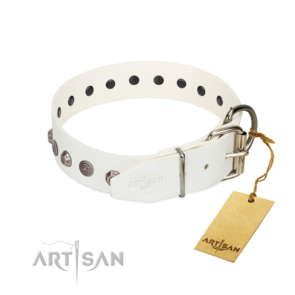 Durable hardware on full grain genuine leather dog collar for everyday walking your dog